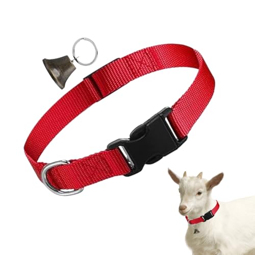 Utilizzo versatile: Adatto per capre, pecore e vitelli, questi collari con campanelli migliorano la gestione del pascolo aiutando i pastori a monitorare il bestiame durante le attività di pascolo