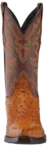 Dingo Mens Outlaw Embroidered Ostrich Print Snip Toe Casual Boots Mid Calf - Brown4