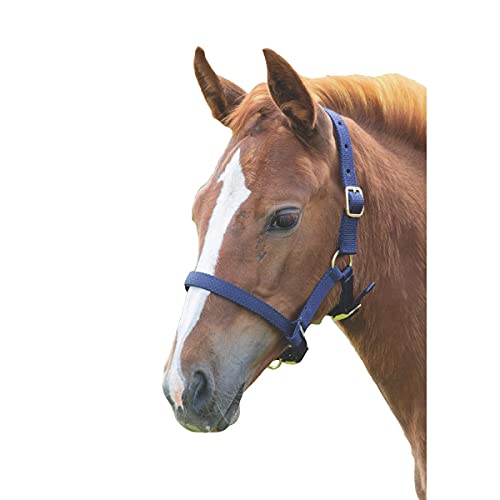 Cabezal de nailon Shires azul marino talla FOAL para caballos jóvenes