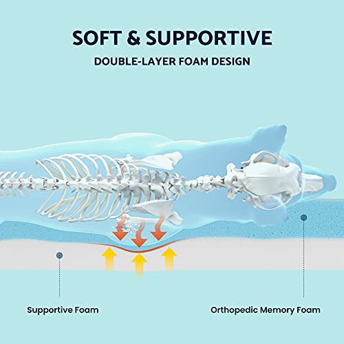 Puppy Paw Orthopedic Dog Bed For Small & Medium Dogs - Memory Foam Dog Bed With Waterproof Inner Liner, Removable Washable Cover - Plush Top Pet Bed Mat #TOP1