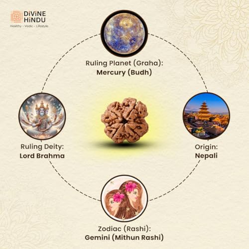 Image of Divine Hindu Original 4 Mukhi (Four Face) Indonesia Rudraksha | Chaar Mukhi Rudraksh Bead for Meditation, Protection & Spiritual Growth | Natural Rudraksha for Men & Women | Prayer Bead for Success