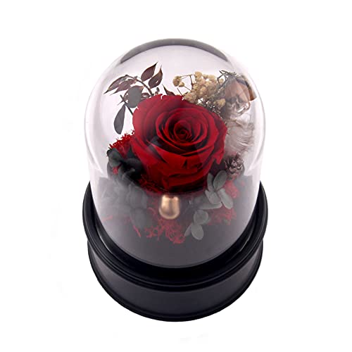 Preserved Eternal Rose Music Box for Women, Forever Flowers Red Rose in Glass Dome, Glass Rose Flowers for her, Enchanted Rose for Valentine s Day, Anniversary