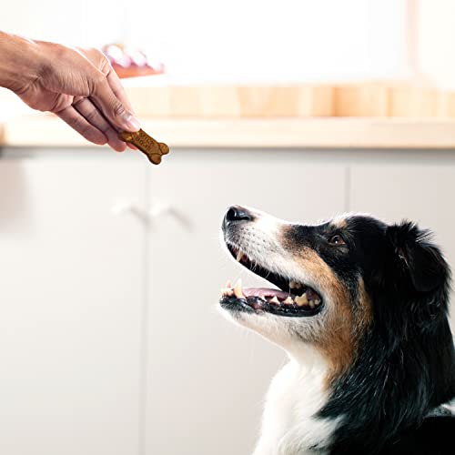 Image of Milk-Bone Simply Soft & Chewy Dog Treats, Wholesome Chicken Recipe, 25 Ounce Made with Real Chicken, Rolled Oats, Sweet Potato & Apples