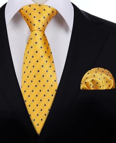 Image of HISDERN Polka Dot Ties for Men Classic Silk Ties and Pocket Square Formal Business Necktie Handkerchief Wedding Party