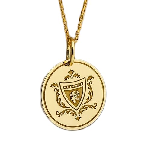 Collier pendentif pièce armoiries familiales argent plaqué or 45cm 24mm