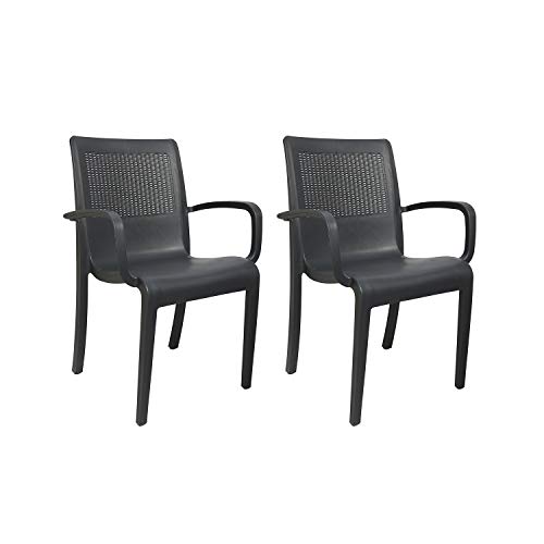 Image of Cello Ecstasy Chair Set Pack of 2 - Grey | Strong and Durable | Easy to Clean | Chair for Living Room, Bed Room, Kitchen, Office Room, Outdoor | 3 Years Warranty
