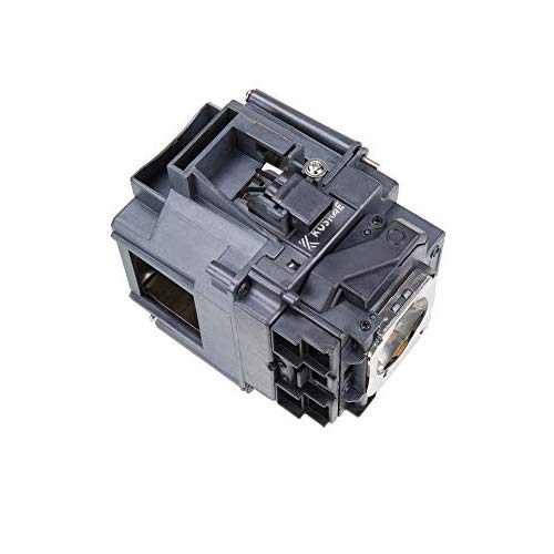 V13H010L76 Replacement Lamp Bulb 