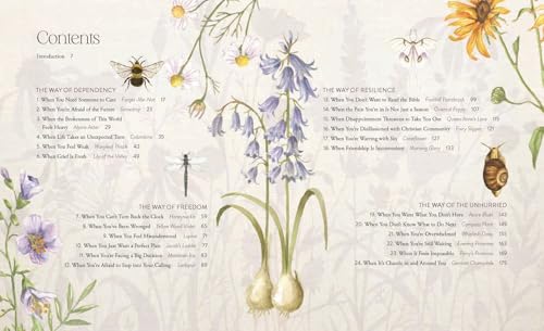 Image of The Way of the Wildflower: Gospel Meditations to Unburden Your Anxious Soul