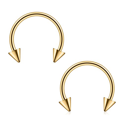 Ruifan 316L Surgical Steel Cbr Horseshoe Circular Rings Nose Eyebrow Tragus Lip Ear Hoop Ring Piercing With 3Mm Spikes 20G 10Mm 12Pcs #TOP3