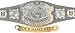 Figures Toy Company Personalized Nameplate for Adult WWE Undisputed Version 1 Championship Replica Belt