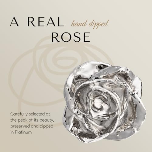 Forever-Rose-Real-Platinum-Rose-Genuine-One-of-a-Kind-Rose-Hand-Dipped-in-Platinum-Roses-to-Last-a-Lifetime
