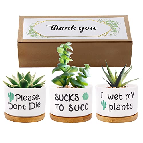 Best I Wet My Plants Pot A Revolutionary Way To Keep Your Plants Alive