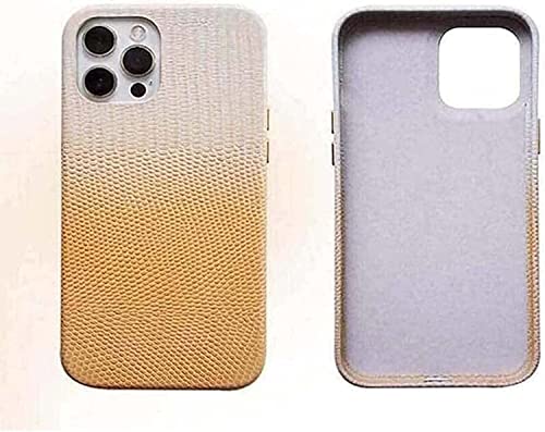 Coque iPhone 13 Pro antichoc protection écran caméra et doublure douce