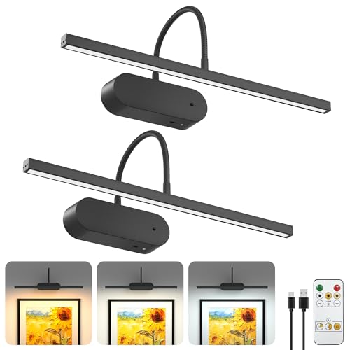 Bridika Rechargeable Picture Light for Wall Flexible Gooseneck, Black 2Pack
