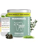 10-in-1 Zahnpflege Leckerli für Hunde - Fresh Smile 120 Snacks (350g) von mammaly - Gegen Mundgeruch, Zahnstein mit Pfefferminz, Seealge, Vitamin C, Petersilie u. v. m. für Maulhygiene, Mundpflege