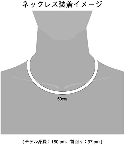 Amazon Amazon Co Jp限定 ファイテン Phiten ネックレス Rakuwa ネックx50 Ag ローレット ブラック ブラック 50cm アクアゴールド アクアチタンx50 含浸スペシャルモデル Phiten ファイテン 磁気 チタン ゲルマニウムアクセサリー