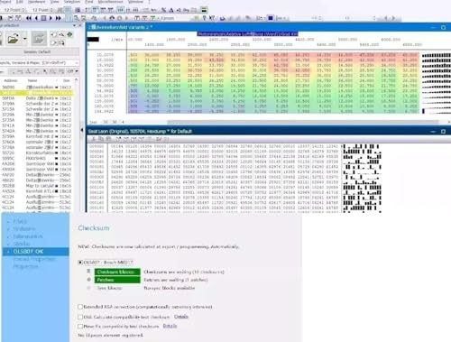 Image of Fastlink;Advanced ECU Tuning Software: WinOLS 4.7 Full Activation, Multi-Language Support, Damos & ECM Titanium Included