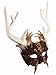 Unisex-Adults Mask-Guardian of The Forest, Black, White, Standard