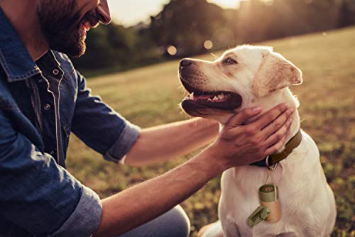 SMARTPAWS Hundekotbeutel biologisch abbaubar (heim- kompostierbar)| 270 zertifizierte Kotbeutel für Hunde | Extra starke Hundebeutel für sensible Hunde – Hund