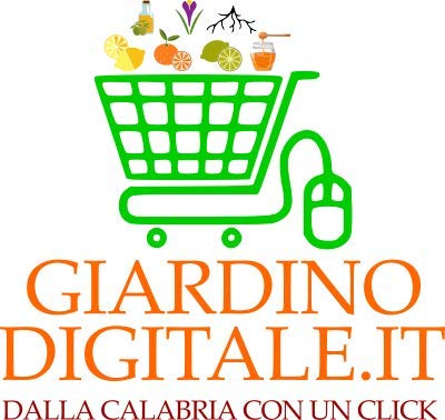 18 KG - FRISCHE KALABRISCHE ORANGEN - Gemischtes Kaliber - Süßer Geschmack - Unbehandelte und garantiert essbare Schale - Giardino Digitale - Hergestellt in Kalabrien in Corigliano Calabro - ITALIEN – Bild 5