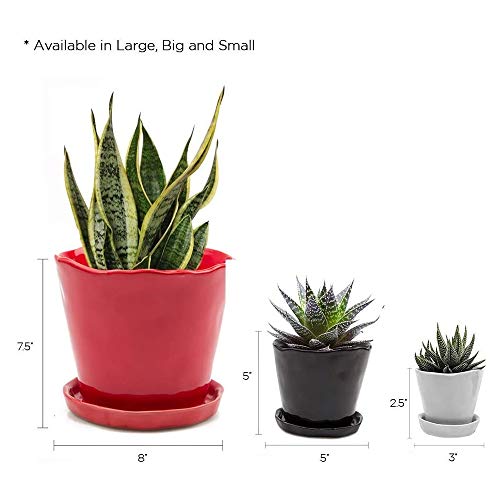 Image of CHIVE 'Tika' Ceramic Planter Pot - Large 8 inch Succulent Pots for Indoor & Outdoor House Plants - Cute, Beautiful Modern Farmhouse Kitchen Decor - New Grey