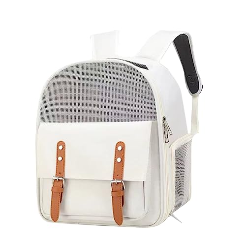 L̗AobO 傫ȉKȃXy[XAsAԁA]ԁAnCLOp̌Lp̐܂肽ݎobNpbN (x[W)