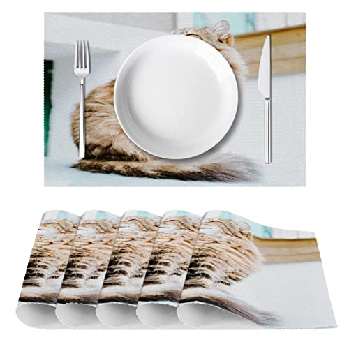 Set de table lavable anti-tache en tissu Oxford pour protéger votre table - 3