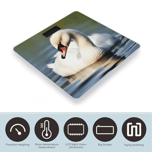 Báscula digital de baño con cristal templado y pantalla LCD miniatura 3