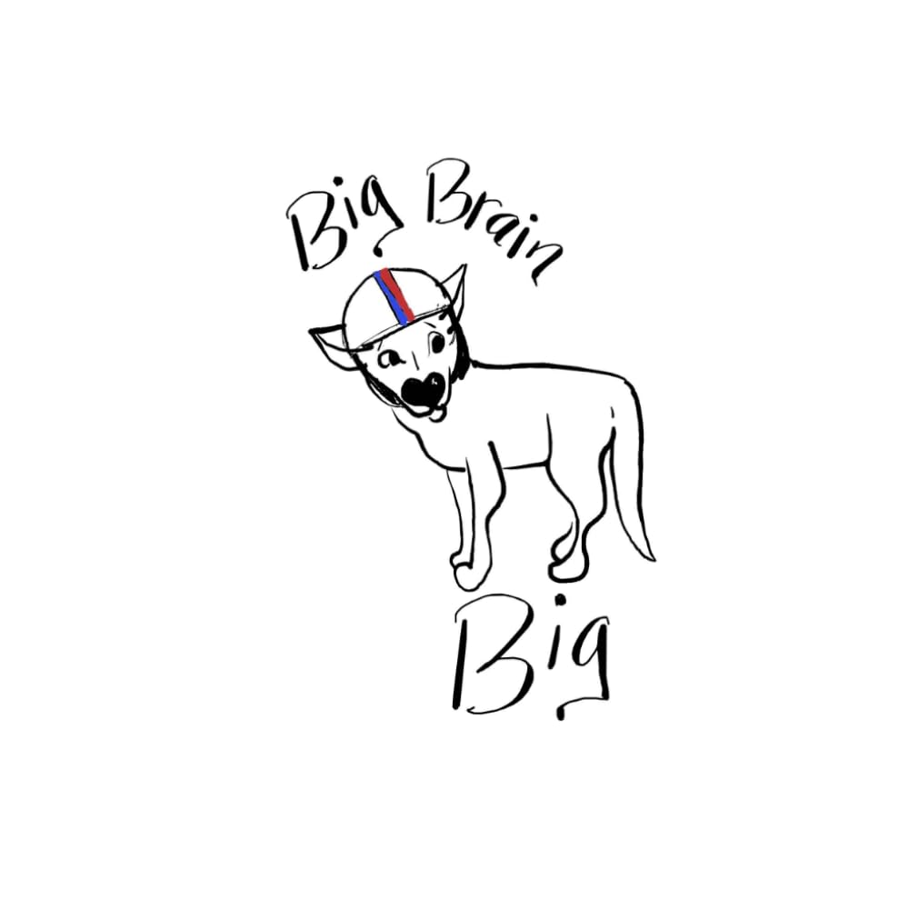 Big Brain Big