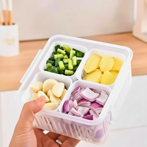 Image of TASMAX Fridge Storage Boxes, Plastic Fridge Containers, Fridge Accessories Items, (FRIDGE CONTAINER 4 GRID WITH LOCK)