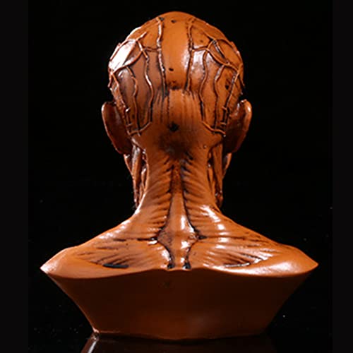 Image of Gaolinci 4-Inch Portable Human Model Craft Anatomy Skull Head Muscle Bone Medical Artist Drawing Study