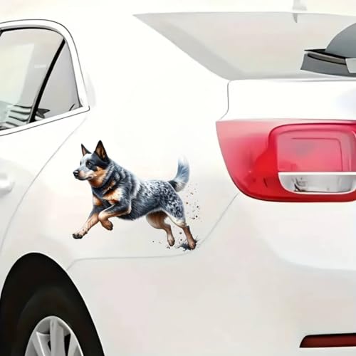 XebJ[ I[XgA Lg hbO  ԗp V[ 20cm Ck rj[ h  CeA m[gp\R  t8089