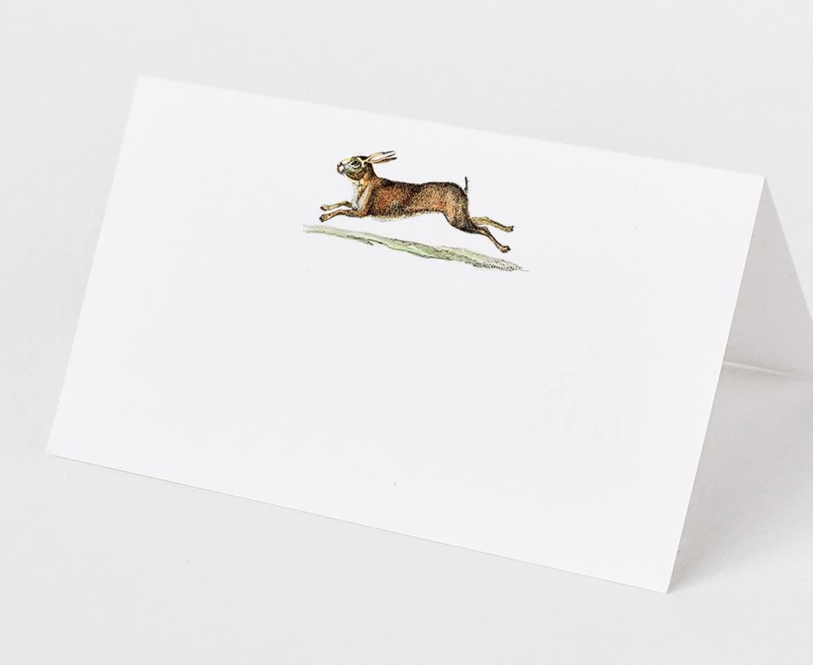 Place Cards with Rabbit (Hare) for Showers and Dinner Parties. Table Tent Style, Scored for Easy Folding (25)