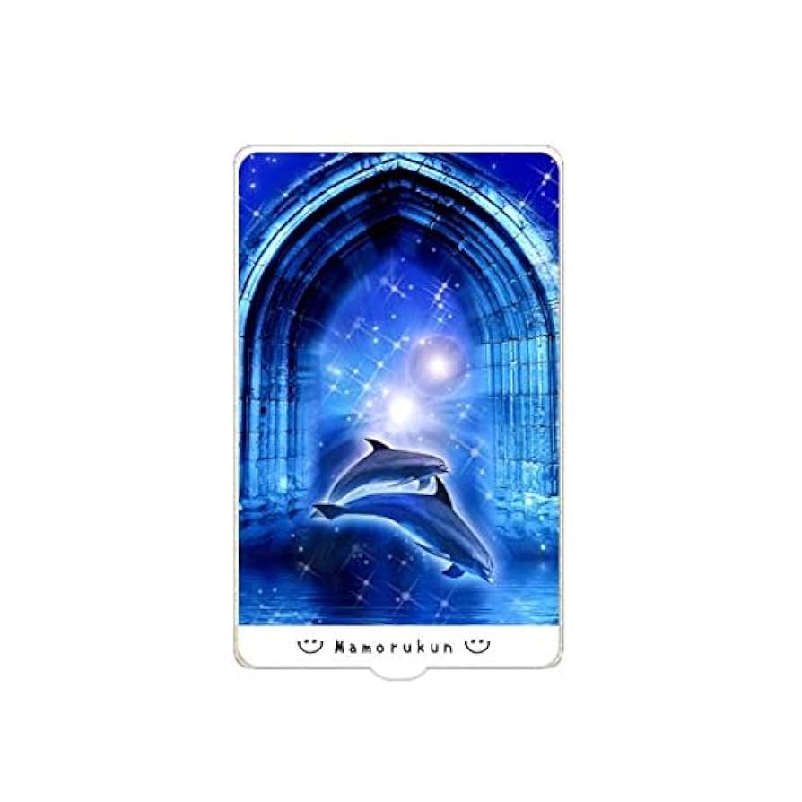 Amazon | マイナンバーカードシール 個人情報保護 ICカード