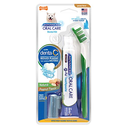 Nylabone Advanced Oral Care Natural Dog Dental Kit