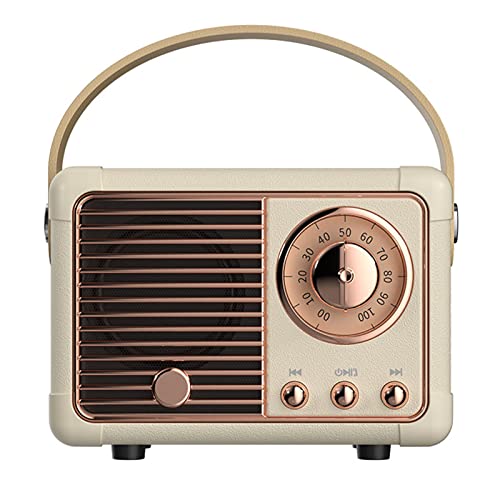 Haut-Parleur Bluetooth rétro, Haut-Parleur Vintage avec Style Classique Ancien, Volume Fort, Connexion sans Fil Bluetooth 5.0, Prise en Charge de Carte TF, Disque U et entrée Audio AUX (Blanc)