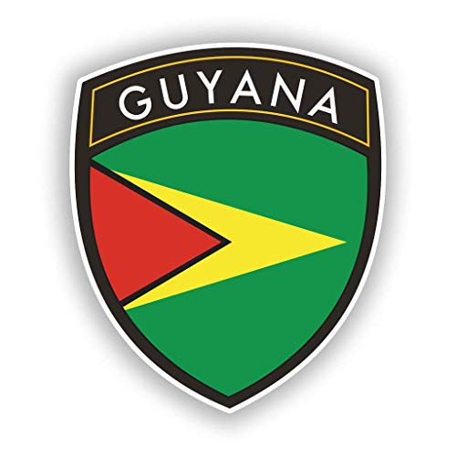 Guyana Flag Design Round Metal 0.75" Lapel Pin Hat Shirt Pin Tie Tack Pinback2