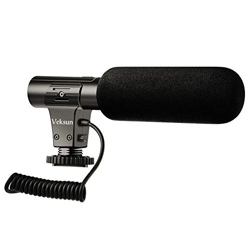Camera video microphone