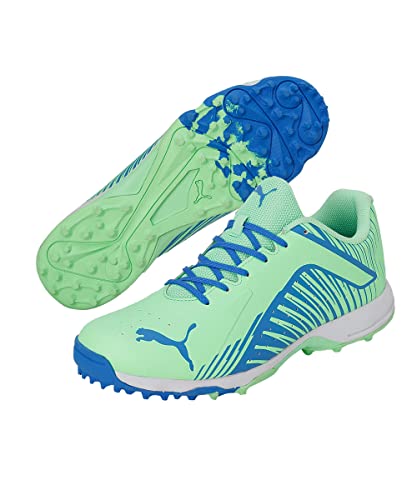 Image of Puma Mens 22 Fh Rubber Cricket Shoe