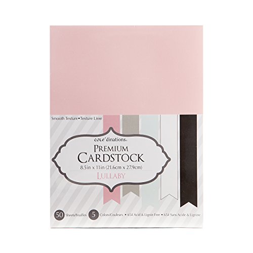 Darice-Confezione Risparmio di Carta