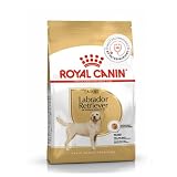Royal Canin Golden Retriever Adult (3kg) — view 1