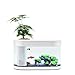 Produktbild MINGMIN-DZ Dauerhaft Geometrie-Fisch-Behälter Aquaponics Ökosystem Kleiner Wasser-Garten ökologisches Aquarium Aquarium Transparent Aquarium