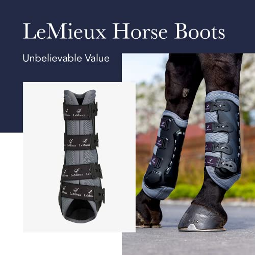 image for LeMieux Carbon Mesh Wrap Support Horse Boots - Protective Gear and Tra