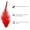 Feathers for Crafting,240pcs 5-7inch Red Craft Rooster Feathers,Saddle Hackle Feather,Bulk Feathers for Wedding Home Party,Dream Catcher Supplies and DIY Crafts #2
