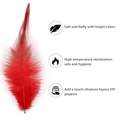 Feathers for Crafting,240pcs 5-7inch Red Craft Rooster Feathers,Saddle Hackle Feather,Bulk Feathers for Wedding Home Party,Dream Catcher Supplies and DIY Crafts - Thumbnail 3