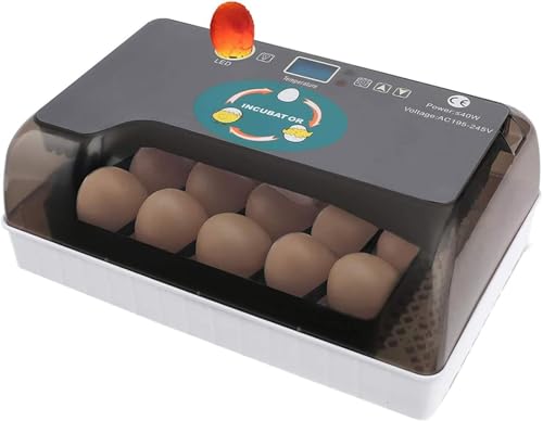 ARCOSHOP Mini Incubadora de Huevos 12 Huevos Automática con Pantalla LCD, Giro Automático, Luz LED Ovoscopio y Control de Temperatura, Incubadora para Pollos, Codornices y Aves