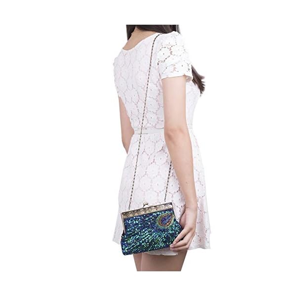 Kisschic Women's Clutch (43246-161665_Multicolored) - Image 8
