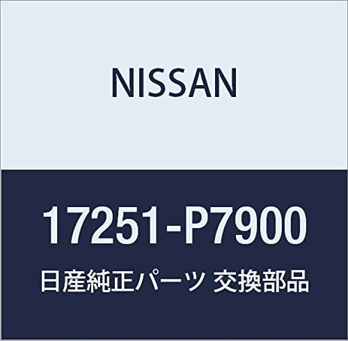 Nissan 17251-P7900 Cap-Filler