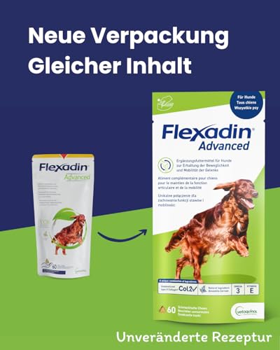 Vetoquinol Flexadin Advanced für Hunde | Doppelpack | 2 x 60 Chews | Ergänzungsfuttermittel zur Unterstützung der Gelenkgesundheit | Mit immunaktivem Kollagen, Omega-3 & Vitamin E