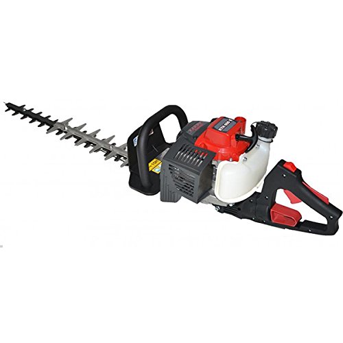 Taille Haies Thermique 2 Temps Moteur Kawasaki